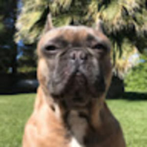 Meet your Posher, Rick